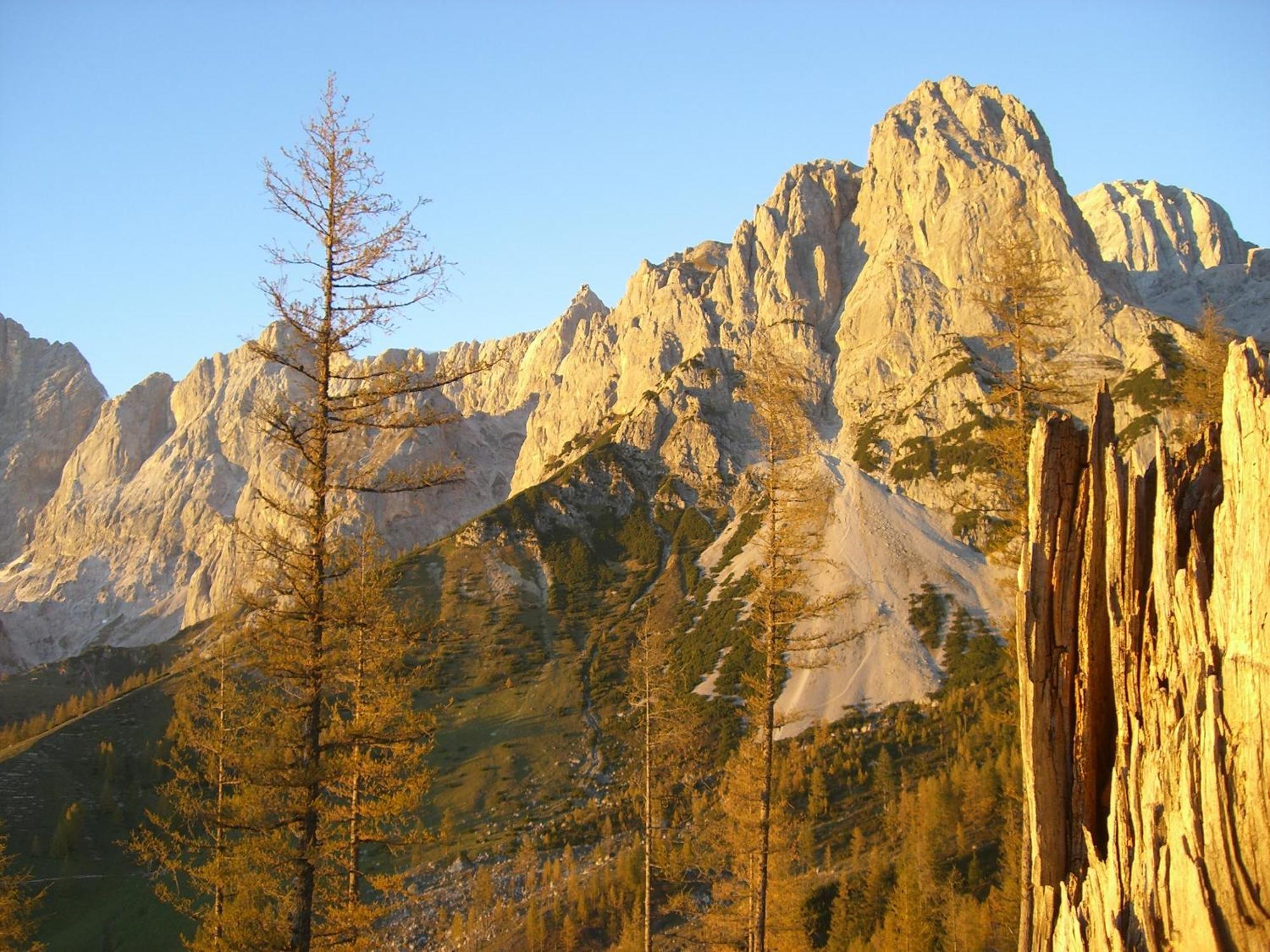 Gasthof Hunerkogel Hotel Ramsau am Dachstein Bagian luar foto