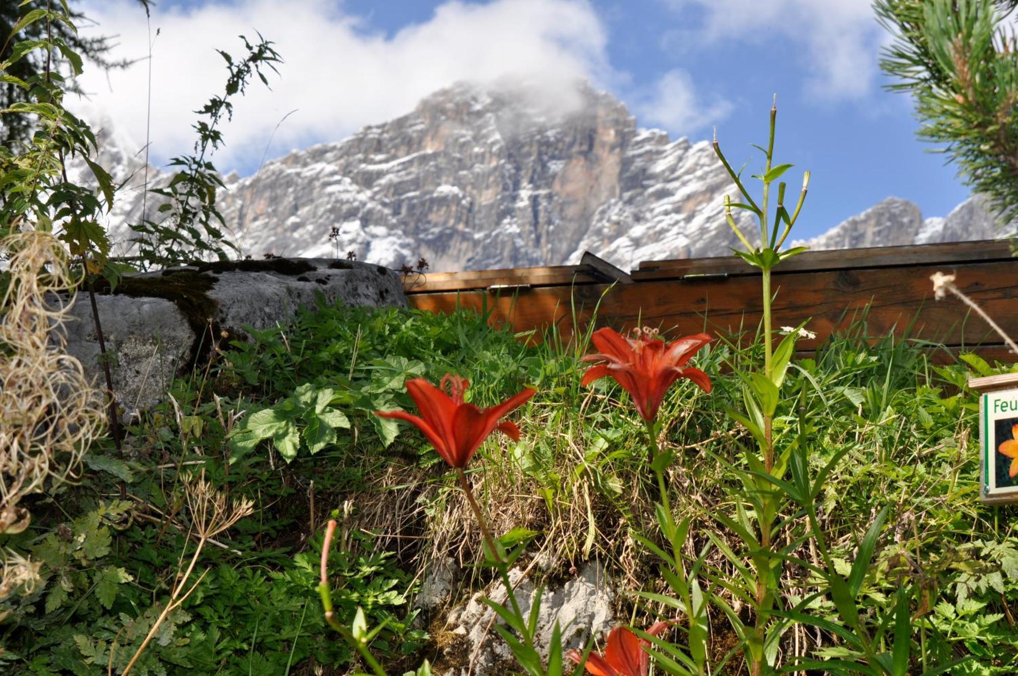 Gasthof Hunerkogel Hotel Ramsau am Dachstein Bagian luar foto